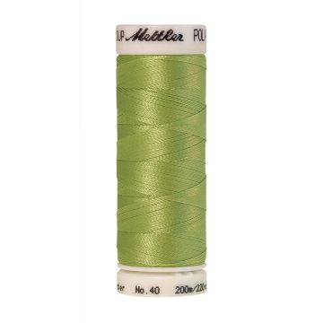 Polysheen borduurgaren, 200m, Kleur 6141