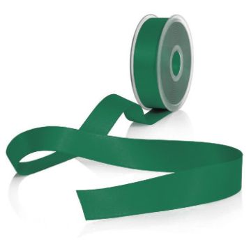 PRYM Biaisband Duchesse 40/20 mm groen 903643