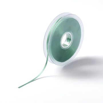 PRYM Satijnlint 3 mm mint 982240