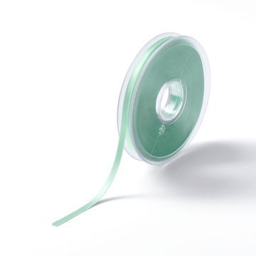 PRYM Satijnlint 6 mm mint 982340