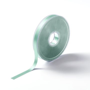 PRYM Satijnlint 10 mm mint 982440