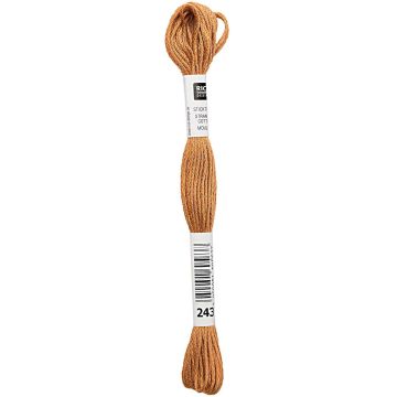 Rico Borduurgaren Brons 02 #243