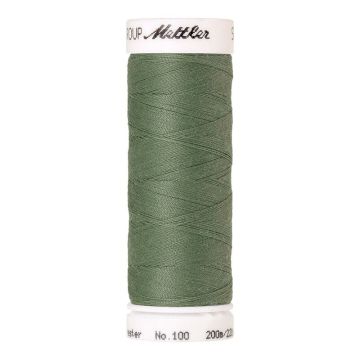 Seralon 200mt. #0646 - Palm Leaf