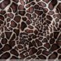 Animal Fur