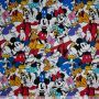 Jersey Disney Mickey Mouse and friends