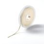 PRYM Satijnlint 3 mm beige 982215